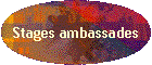Stages ambassades