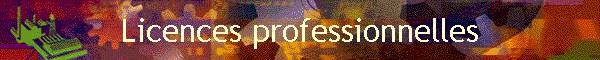 Licences professionnelles